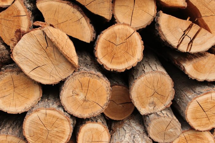 Regulación de leña y biocombustibles en Chile: clave para su uso sustentable Regulación de leña y biocombustibles en Chile: clave para su uso sustentable