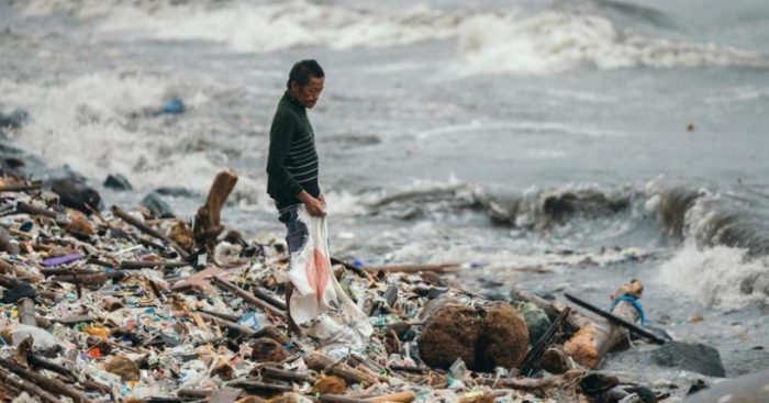 Alerta por consumo de pescados y mariscos tras detección de microplásticos en heces humanas Alerta por consumo de pescados y mariscos tras detección de microplásticos en heces humanas