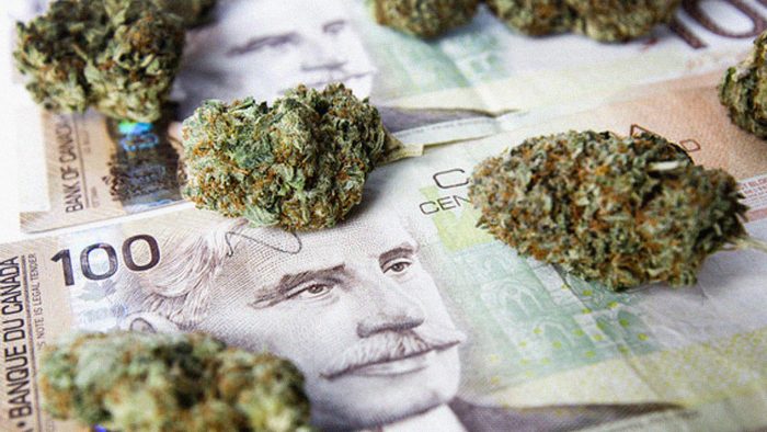 Scotiabank asegura que el “oro verde” trae ganancias y en Canadá la marihuana mueve mercado de US$ 4.200 millones Scotiabank asegura que el