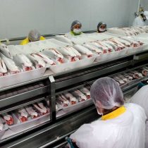 Lo que importa en el mundo salmonero
