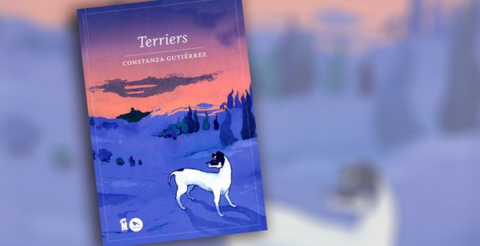 Libro «Terriers»: Niños, adolescentes y jóvenes como protagonistas literarios