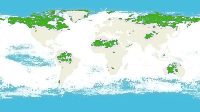 Los 5 países que concentran el 70% de los ecosistemas intactos del mundo