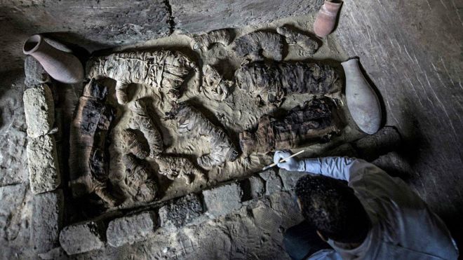 El fascinante hallazgo de los gatos momificados en Egipto El fascinante hallazgo de los gatos momificados en Egipto