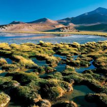 Avanza proyecto que busca resguardar la biodiversidad y fortalecer las áreas protegidas en el país