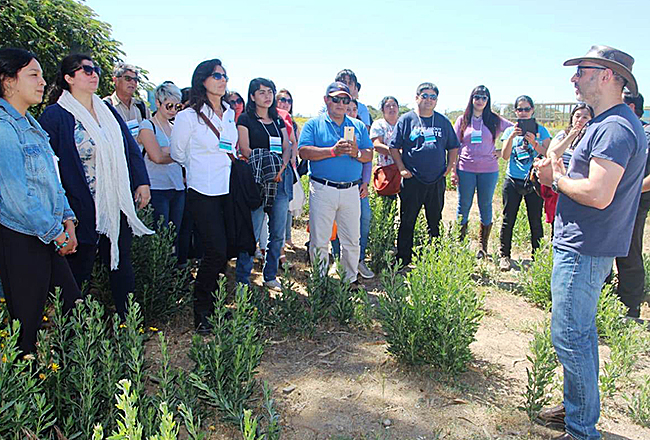 Enap realizó seminario internacional de humedales en Concón Enap realizó seminario internacional de humedales en Concón