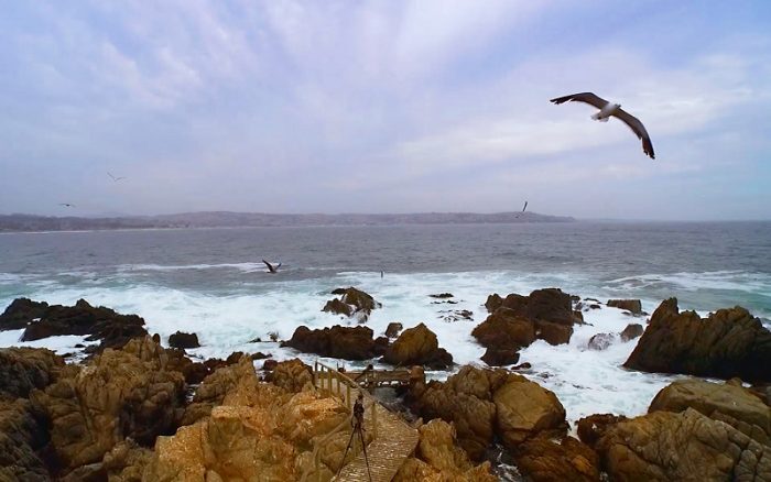 Cómo avanza la energía marina en Chile: centro de investigación busca reducir emisiones de carbono hacia 2030 Cómo avanza la energía marina en Chile: centro de investigación busca reducir emisiones de carbono hacia 2030
