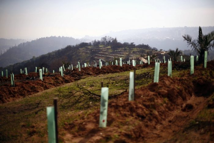 Sembrar para recuperar el agua Sembrar para recuperar el agua