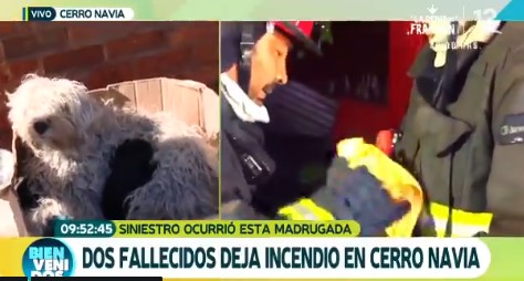Periodista de C13 se pone a llorar mientras informaba sobre las víctimas de un incendio Periodista de C13 se pone a llorar mientras informaba sobre las víctimas de un incendio