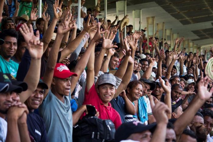 Migrantes de la caravana en Ciudad de México votan por reanudar su travesía hacia EE.UU. Migrantes de la caravana en Ciudad de México votan por reanudar su travesía hacia EE.UU.