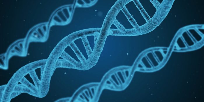 Califican de «prematuro, peligroso e irresponsable» supuesta modificación genética realizada en embriones humanos Califican de «prematuro, peligroso e irresponsable» supuesta modificación genética realizada en embriones humanos