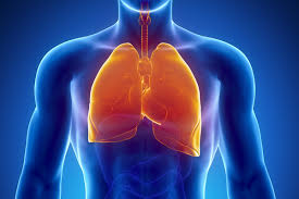 El tabaquismo: uno de los principales responsables de la Enfermedad Pulmonar Obstructiva Crónica El tabaquismo: uno de los principales responsables de la Enfermedad Pulmonar Obstructiva Crónica