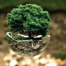 Ezio Costa y constitución ecológica: “Las maneras en que el derecho ha protegido al medio ambiente hasta ahora no han sido suficientemente fuertes”