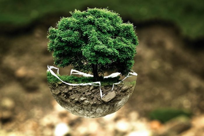 Ezio Costa y constitución ecológica: “Las maneras en que el derecho ha protegido al medio ambiente hasta ahora no han sido suficientemente fuertes”