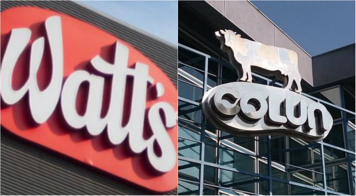 En un nuevo capítulo de la guerra de la leche: Watt’s quiere saber quiénes son los dueños de Colún En un nuevo capítulo de la guerra de la leche: Watt's quiere saber quiénes son los dueños de Colún
