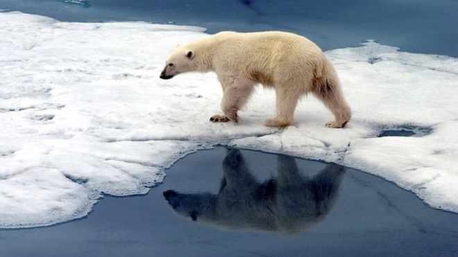 COP24 en Polonia sobre cambio climático: ¿por qué el mundo está en una etapa crucial para su futuro? COP24 en Polonia sobre cambio climático: ¿por qué el mundo está en una etapa crucial para su futuro?