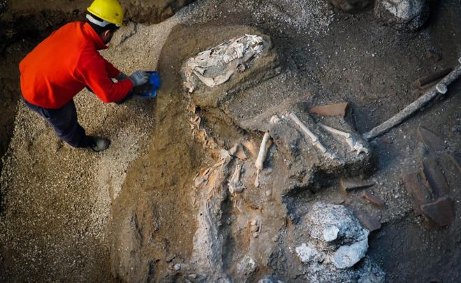 Pompeya: el “excepcional” hallazgo de los restos de un caballo con su silla y adornos Pompeya: el “excepcional” hallazgo de los restos de un caballo con su silla y adornos