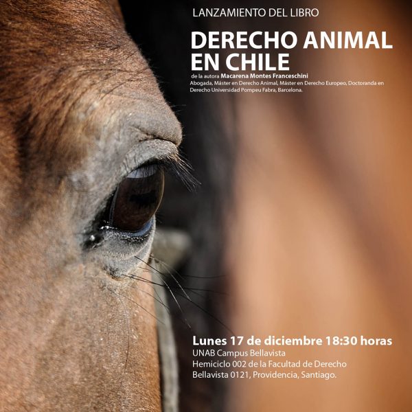 Experta en derecho animal: “Si bien la Ley de Tenencia Responsable ha recibido muchas críticas, por lo menos existe” Experta en derecho animal: “Si bien la Ley de Tenencia Responsable ha recibido muchas críticas, por lo menos existe”