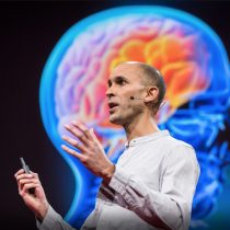 Neurocientífico Anil Seth, invitado a Congreso Futuro, explica la conciencia como tipos de alucinaciones controladas