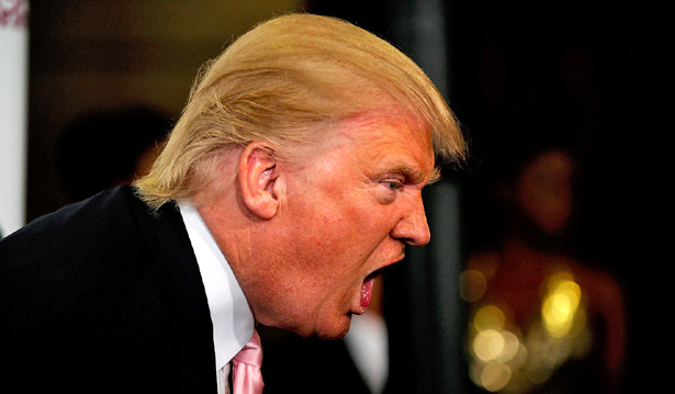 Trump y una semana surrealista: comienza el pánico Trump y una semana surrealista: comienza el pánico
