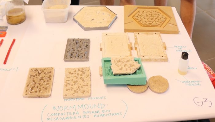 Estudiantes chilenos visitarán el MIT por crear una compostera con conchas de mar