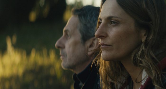 Cinta nacional “Los perros” logra nominación a los Goya 2019 Cinta nacional “Los perros” logra nominación a los Goya 2019