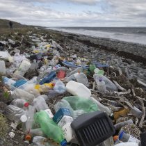 Plásticos, tema del año 2018
