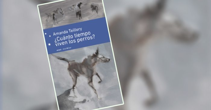 Escritora Amanda Teillery autora de “¿Cuánto tiempo viven los perros?”: “los cuentos tienen en común el presentar un proceso de perdida de la inocencia” Escritora Amanda Teillery autora de “¿Cuánto tiempo viven los perros?”: “los cuentos tienen en común el presentar un proceso de perdida de la inocencia”