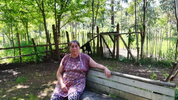 Gloria Quiñilen, dirigenta mapuche de Pailahueque: “Acá vivimos en una zona militarizada” Gloria Quiñilen, dirigenta mapuche de Pailahueque: “Acá vivimos en una zona militarizada”