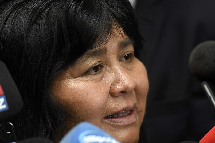 “Es más de lo mismo”: diputada Nuyado critica agenda legislativa del Gobierno en materia indígena