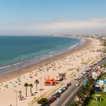 Disfruta de Coquimbo: el primer destino turístico certificado con restaurantes Pet Friendly