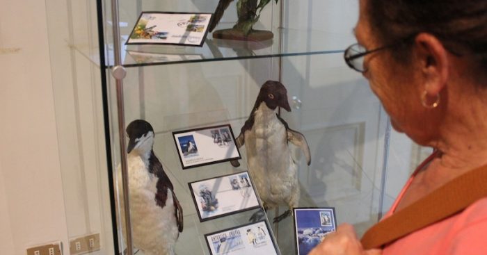 Exposición “Filatelia, Flora y Fauna mundial” en Museo de Historia Natural de Valparaíso Exposición “Filatelia, Flora y Fauna mundial” en Museo de Historia Natural de Valparaíso