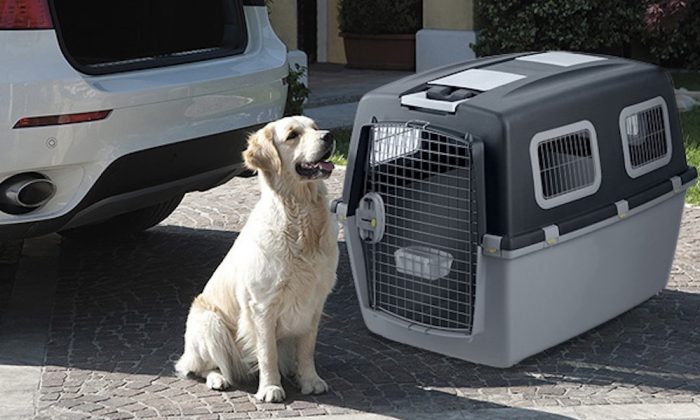 Prepare el equipaje de su mascota si viaja con ella Prepare el equipaje de su mascota si viaja con ella