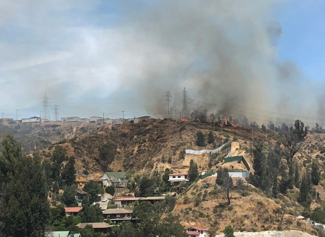 Incendio forestal afecta al sector de Limonares en Viña del Mar