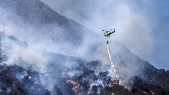 Nuevo reporte de la Onemi indica que hay 8 incendios forestales activos, 14 controlados y tres alertas rojas