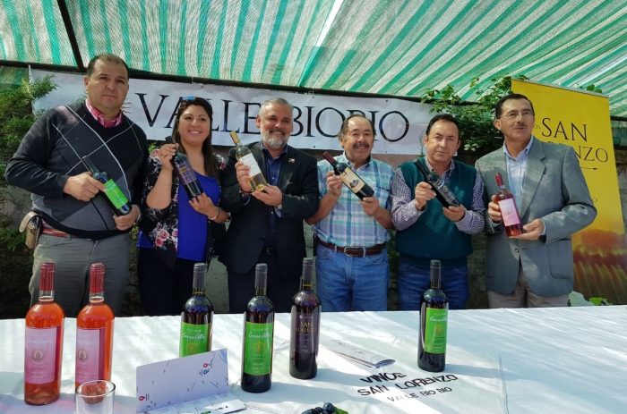 Acuerdo de Producción Limpia impulsará la competitividad de viñateros del Valle Biobío Acuerdo de Producción Limpia impulsará la competitividad de viñateros del Valle Biobío
