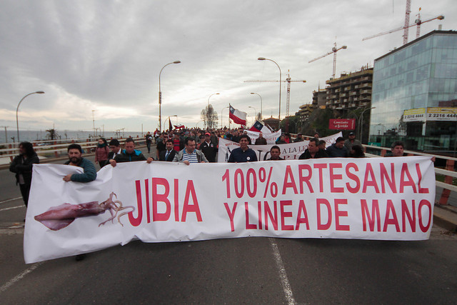 “Guerra de la Jibia” se intensifica y pescadores artesanales dan ultimátum al Gobierno para que promulgue la ley “Guerra de la Jibia” se intensifica y pescadores artesanales dan ultimátum al Gobierno para que promulgue la ley