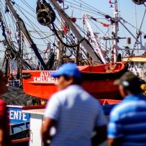 Senadores PS reiteran rechazo a que Subsecretaría de Pesca dependa de Agricultura: 