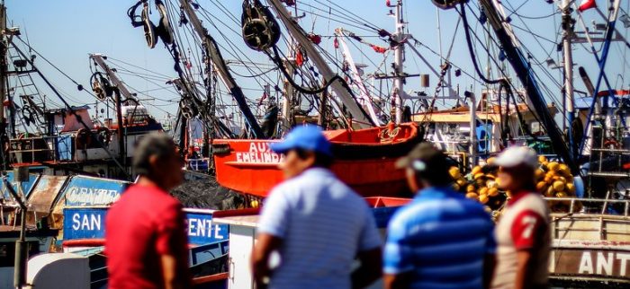 Sobreexplotación pesquera en tiempos de reformas: ¿qué podemos sacar en limpio?