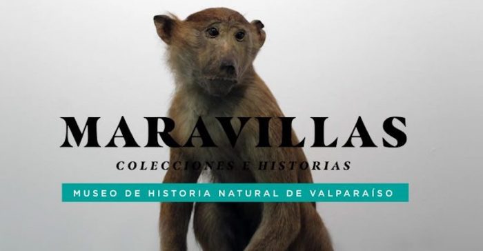 Muestra “Maravillas” en Centro Cultural La Moneda Muestra “Maravillas” en Centro Cultural La Moneda