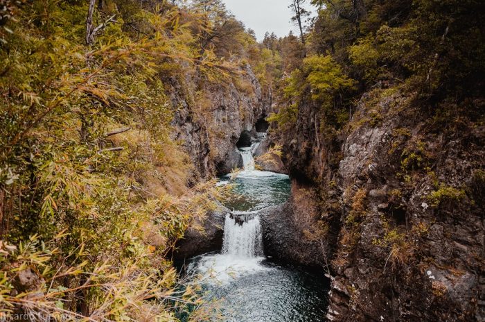 La región del Maule en Chile aspira a ser un referente de turismo sostenible La región del Maule en Chile aspira a ser un referente de turismo sostenible