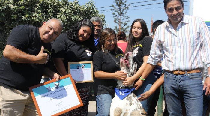 Perro más grande de Chile fue nombrado Embajador de la Tenencia Responsable de La Granja Perro más grande de Chile fue nombrado Embajador de la Tenencia Responsable de La Granja