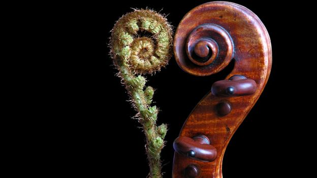Fibonacci, el matemático que se puso a contar conejos y descubrió la secuencia divina Fibonacci, el matemático que se puso a contar conejos y descubrió la secuencia divina