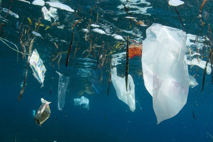 WWF hace llamado global para un acuerdo vinculante que frene la contaminación plástica en el mar WWF hace llamado global para un acuerdo vinculante que frene la contaminación plástica en el mar