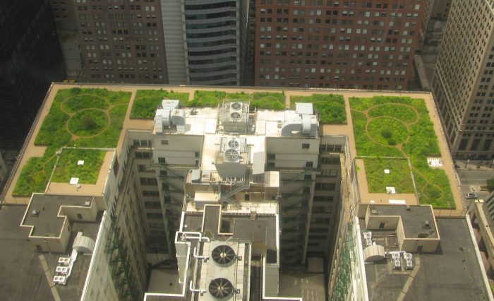 La iniciativa del Minvu para fomentar los techos verdes
