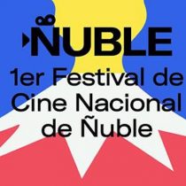Festival de Cine de Ñuble: ejemplo de la necesidad política de regiones por construir su propia identidad