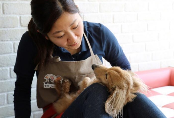 Vejez y enfermedad propician el auge de residencias para mascotas en Japón