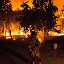 Incendios forestales: decretan toque de queda en provincia de Concepción tras sospechosos focos simultáneos