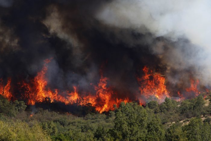 Pirómanos o “violencia rural”: las tesis del intendente Atton sobre los incendios en La Araucanía Pirómanos o “violencia rural”: las tesis del intendente Atton sobre los incendios en La Araucanía