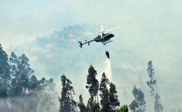 Incendios forestales: decretan estado de excepción en algunas zonas de las regiones del Biobío, La Araucanía y Los Ríos