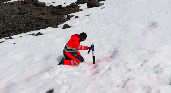 Investigadores chilenos se concentran en las algas antárticas como «los verdaderos sensores» del Cambio Climático Investigadores chilenos se concentran en las algas antárticas como «los verdaderos sensores» del Cambio Climático